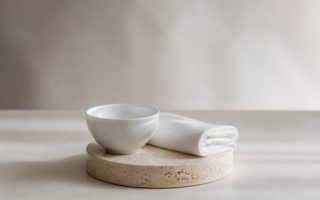 Guêpe piqûre : que faire en cas de piqûre dans la bouche ?